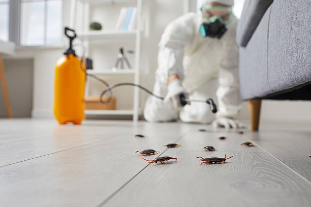 Commercial Kitchen Cockroach Control in Highland